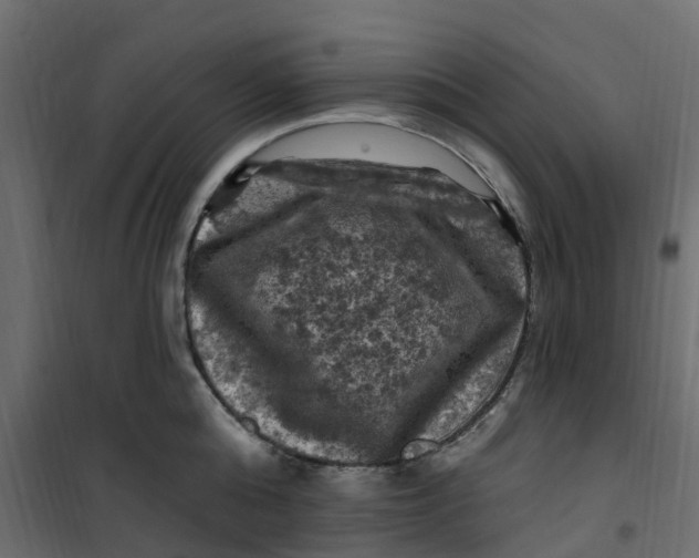 X0000101090808200807171846