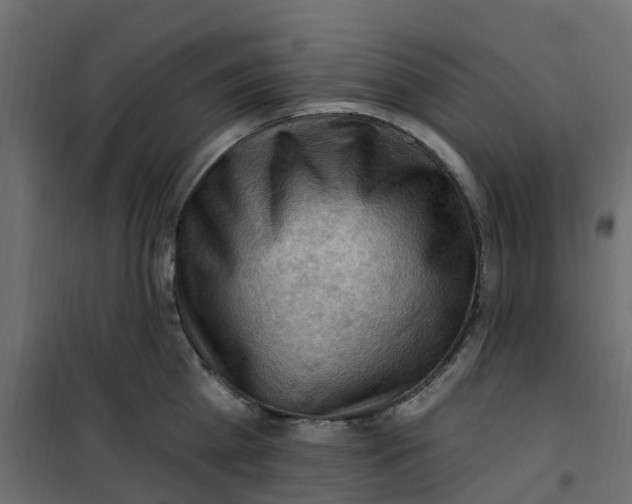 X0000101090809200807171846