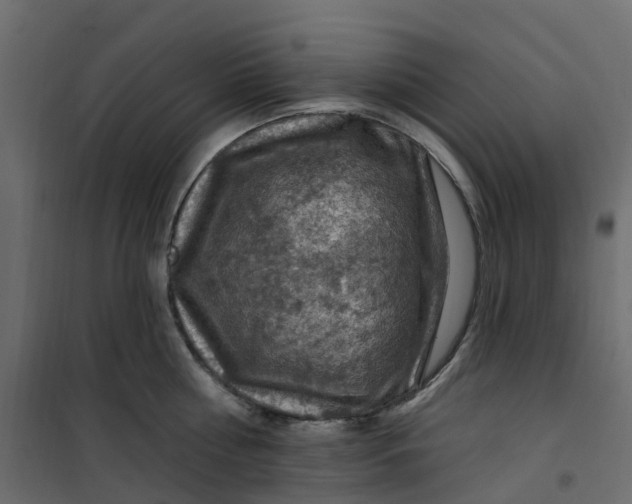 X0000101090810200807171846