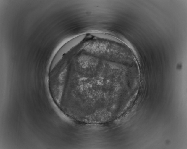 X0000101090811200807171846