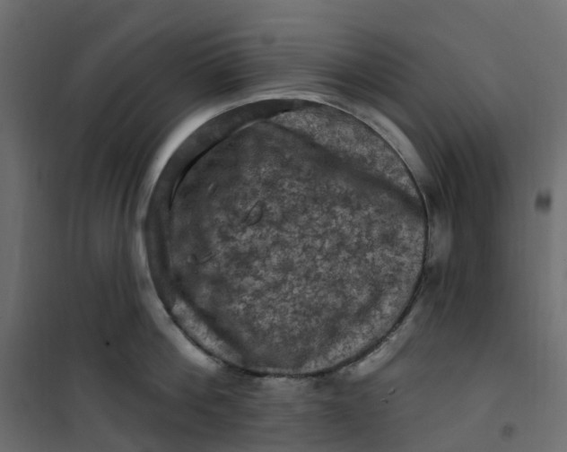 X0000101090812200807171846