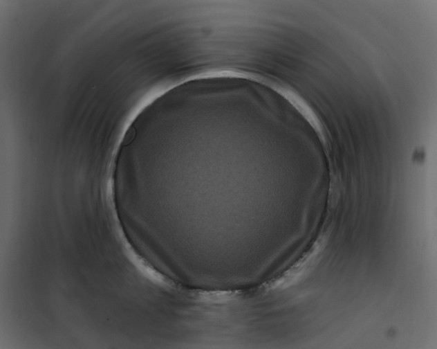 X0000101090813200807171846