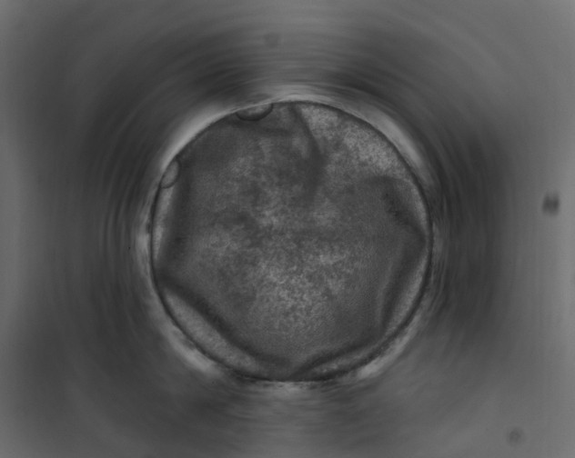 X0000101090814200807171846