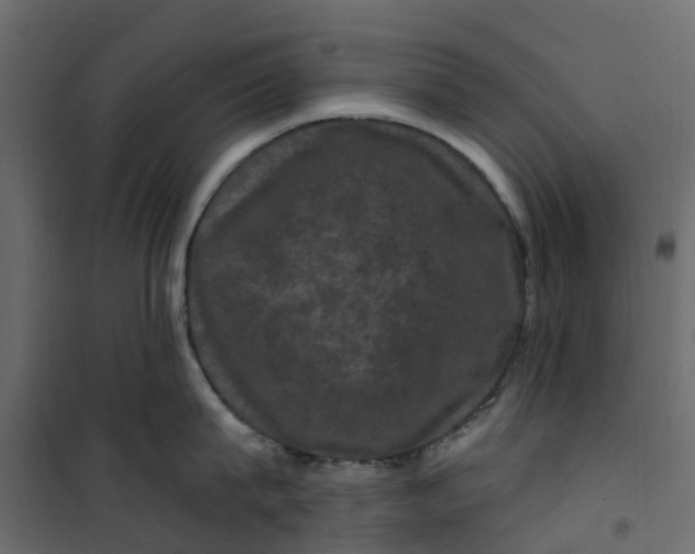 X0000101090815200807171846