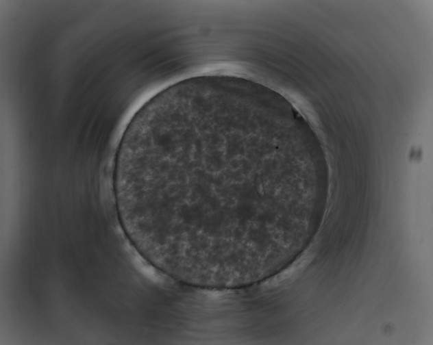 X0000101090816200807171846