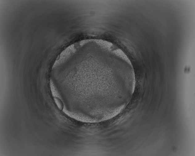 X0000101090817200807171845