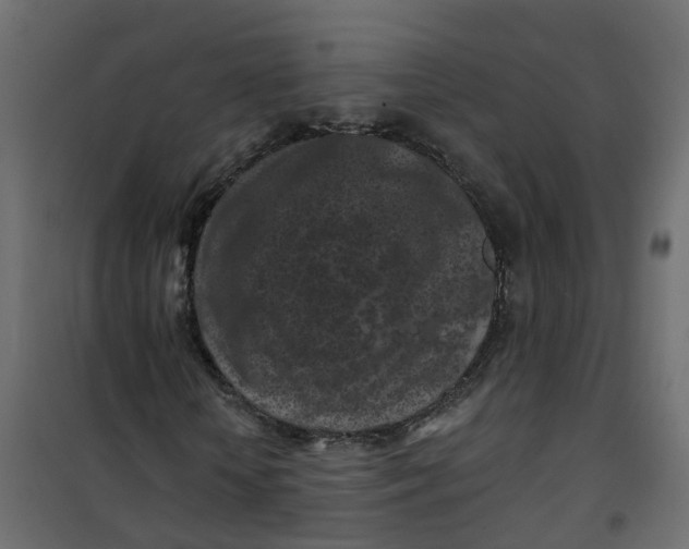 X0000101090818200807171845