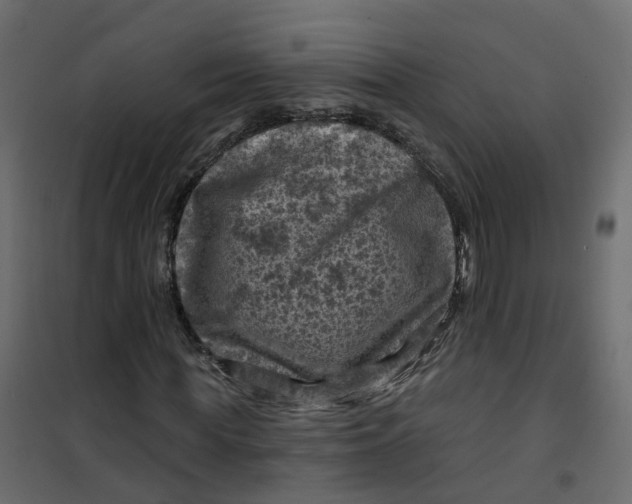 X0000101090819200807171845