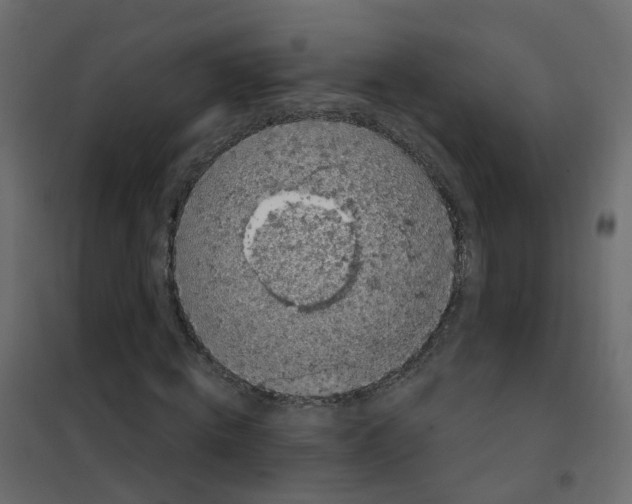 X0000101090820200807171845