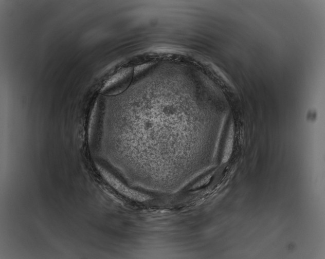 X0000101090821200807171845