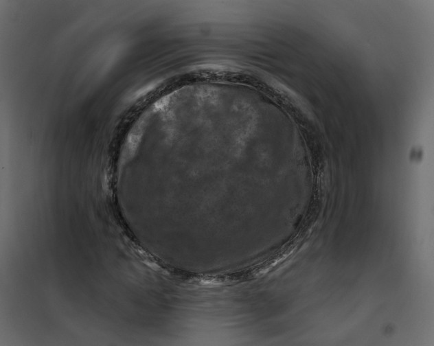 X0000101090822200807171845