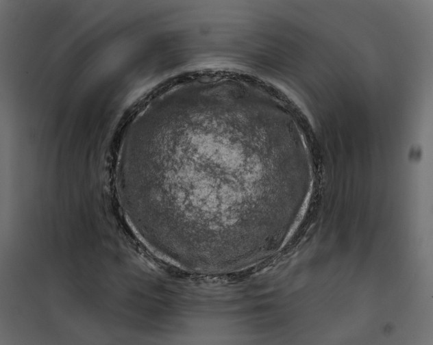 X0000101090823200807171845