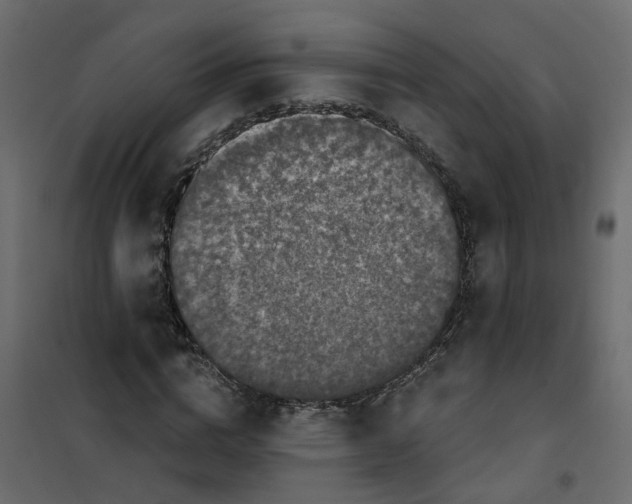 X0000101090824200807171845