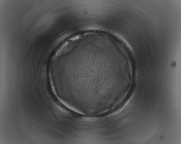 X0000101090825200807171845