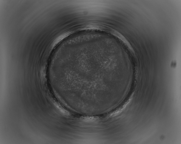 X0000101090826200807171846