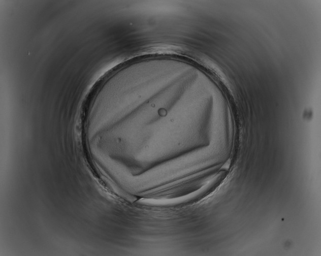 X0000101090827200807171846