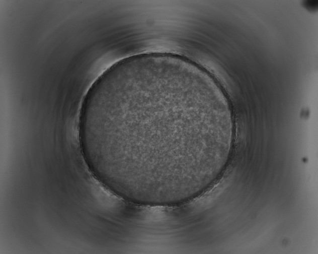 X0000101090828200807171846