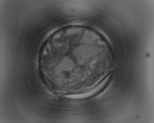 X0000101090829200807171846