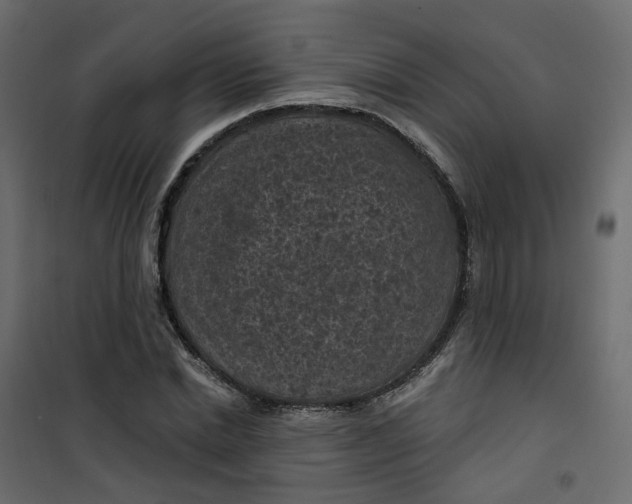 X0000101090830200807171846