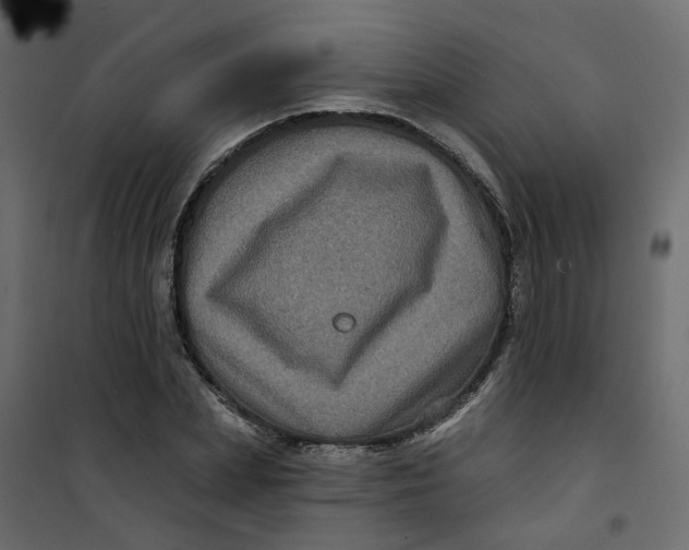 X0000101090831200807171846