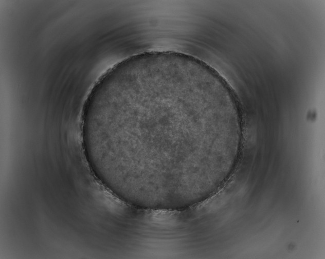 X0000101090832200807171846