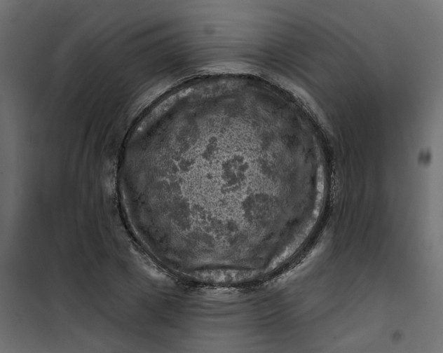 X0000101090833200807171846