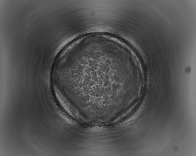 X0000101090834200807171846