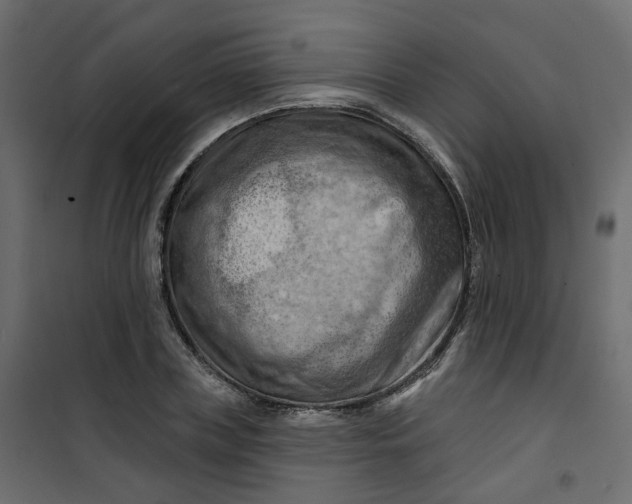 X0000101090835200807171846