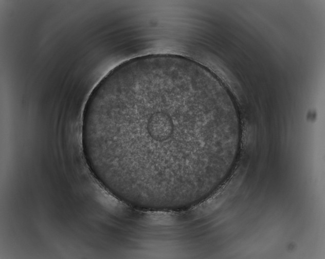 X0000101090836200807171846