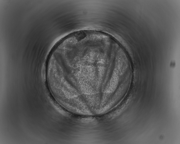 X0000101090838200807171846