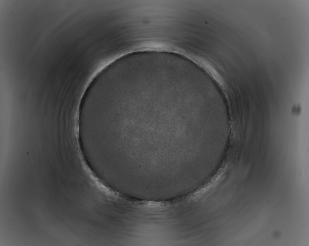 X0000101090839200807171846