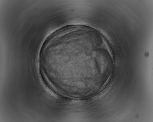 X0000101090840200807171846