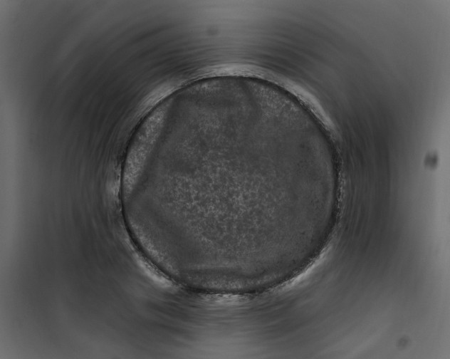 X0000101090841200807171846