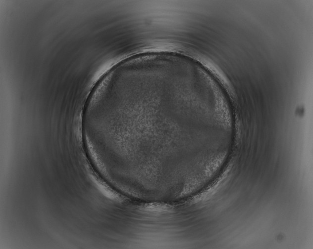 X0000101090842200807171846