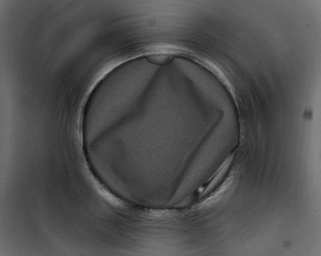 X0000101090843200807171846