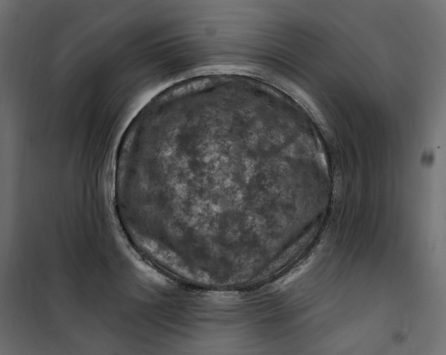 X0000101090844200807171846