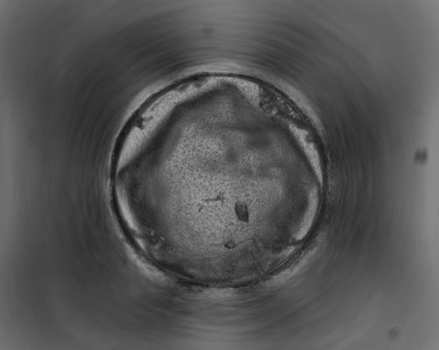 X0000101090845200807171846