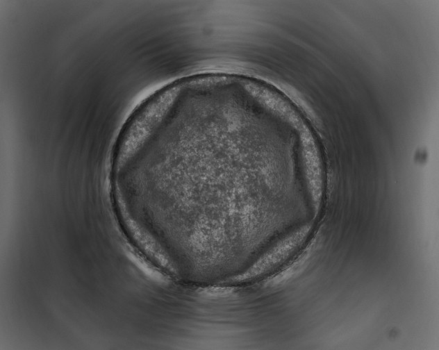 X0000101090846200807171846