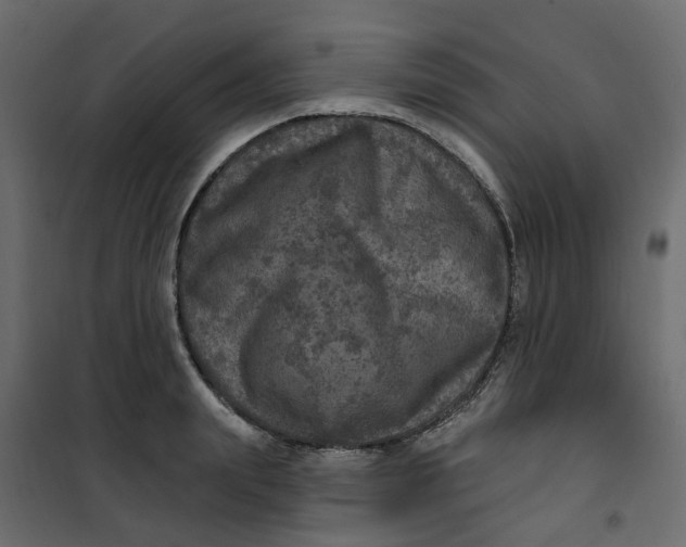 X0000101090847200807171846