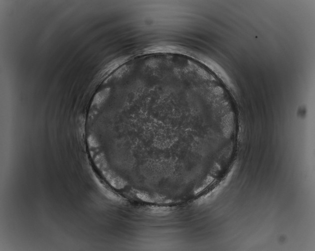 X0000101090849200807171846