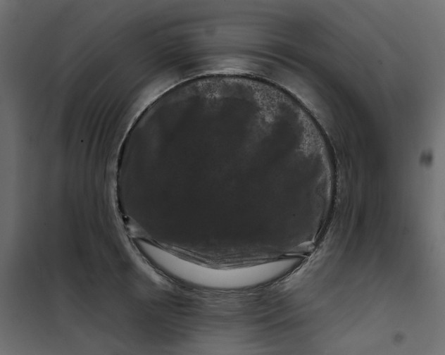 X0000101090850200807171846