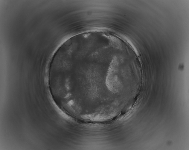 X0000101090851200807171846