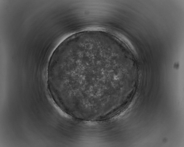 X0000101090852200807171846