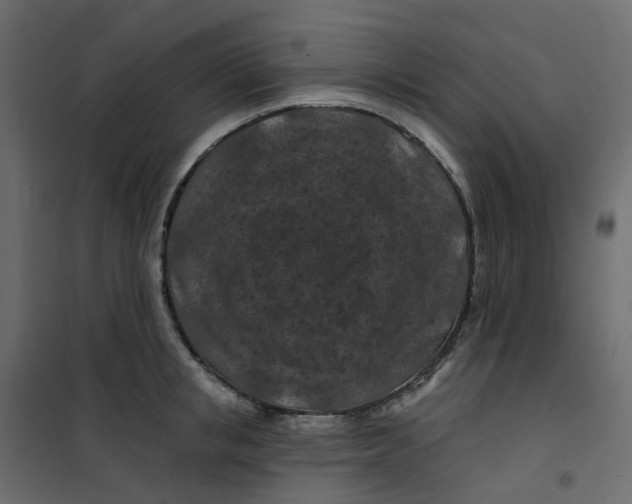 X0000101090853200807171846