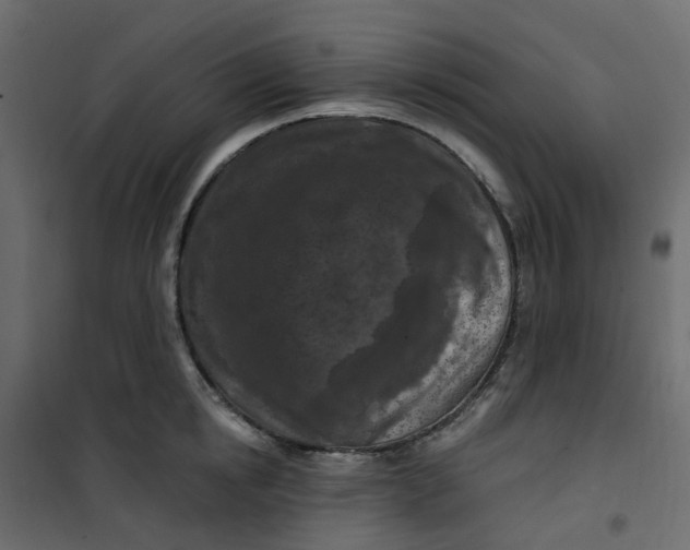 X0000101090854200807171846