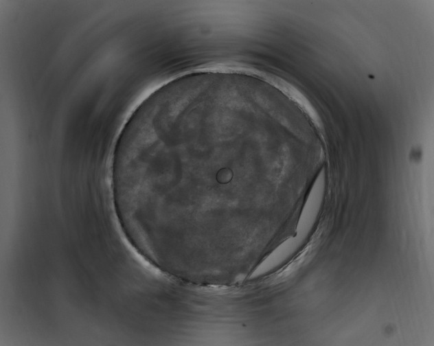 X0000101090855200807171846