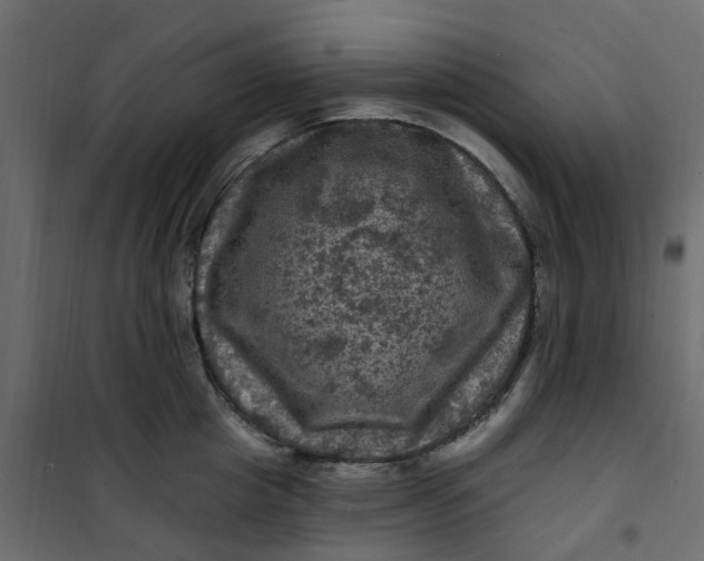 X0000101090857200807171846