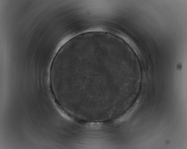 X0000101090858200807171846