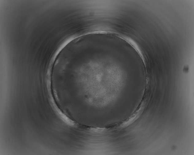 X0000101090859200807171846