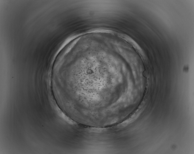 X0000101090860200807171846